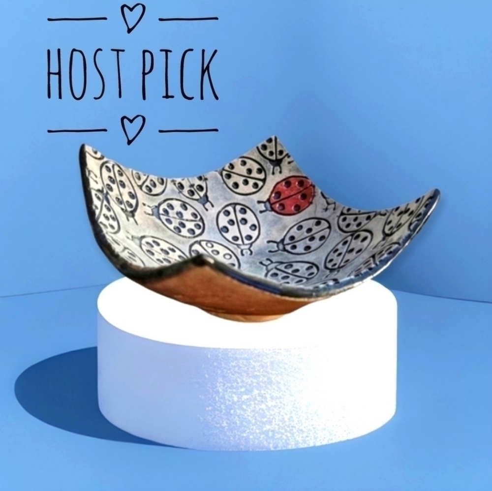 Stoneware Curved Square Ladybug Catch All Table Bowl Dish HOST PICK